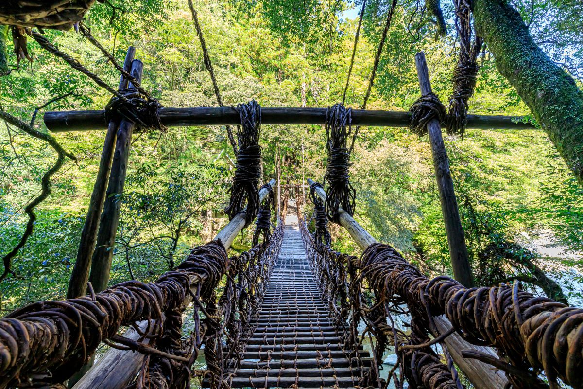大歩危・祖谷温泉