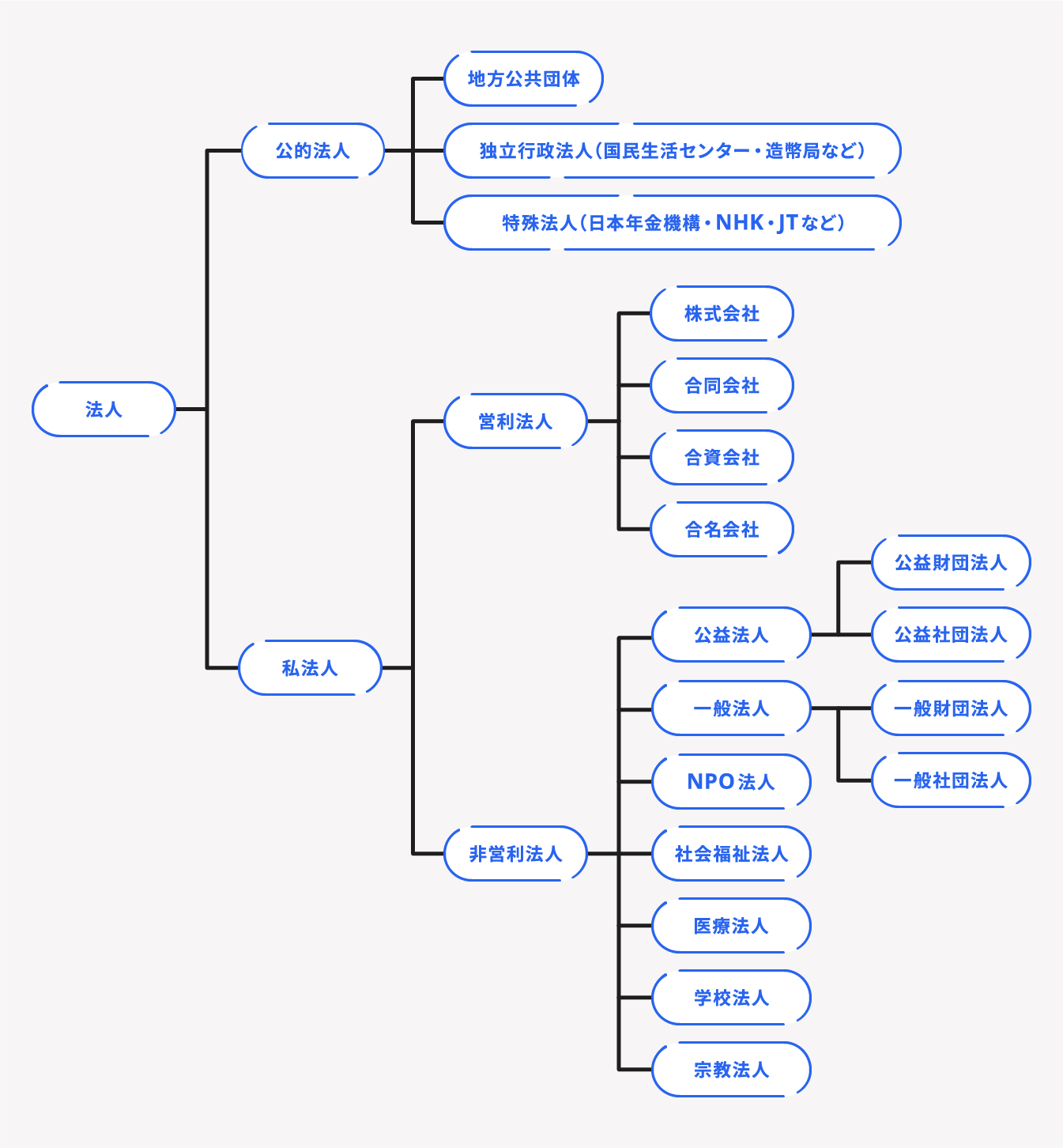 法人の種類