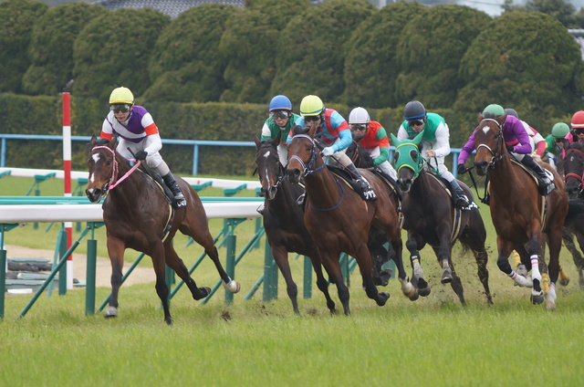 競馬の利益には税金がかかる？確定申告が必要な金額や計算方法を解説 | 経営者から担当者にまで役立つバックオフィス基礎知識 | クラウド会計ソフト  freee