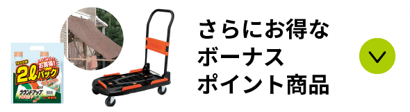 ボーナスポイント