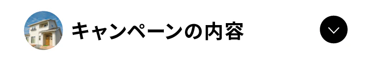 キャンペーン