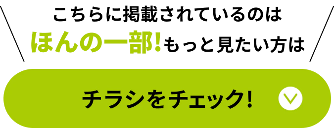 チラシをチェック