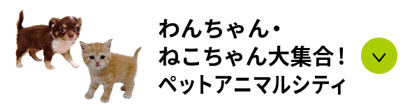 わんちゃん、ねこちゃん