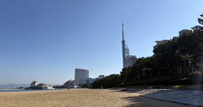 ももち浜の風景