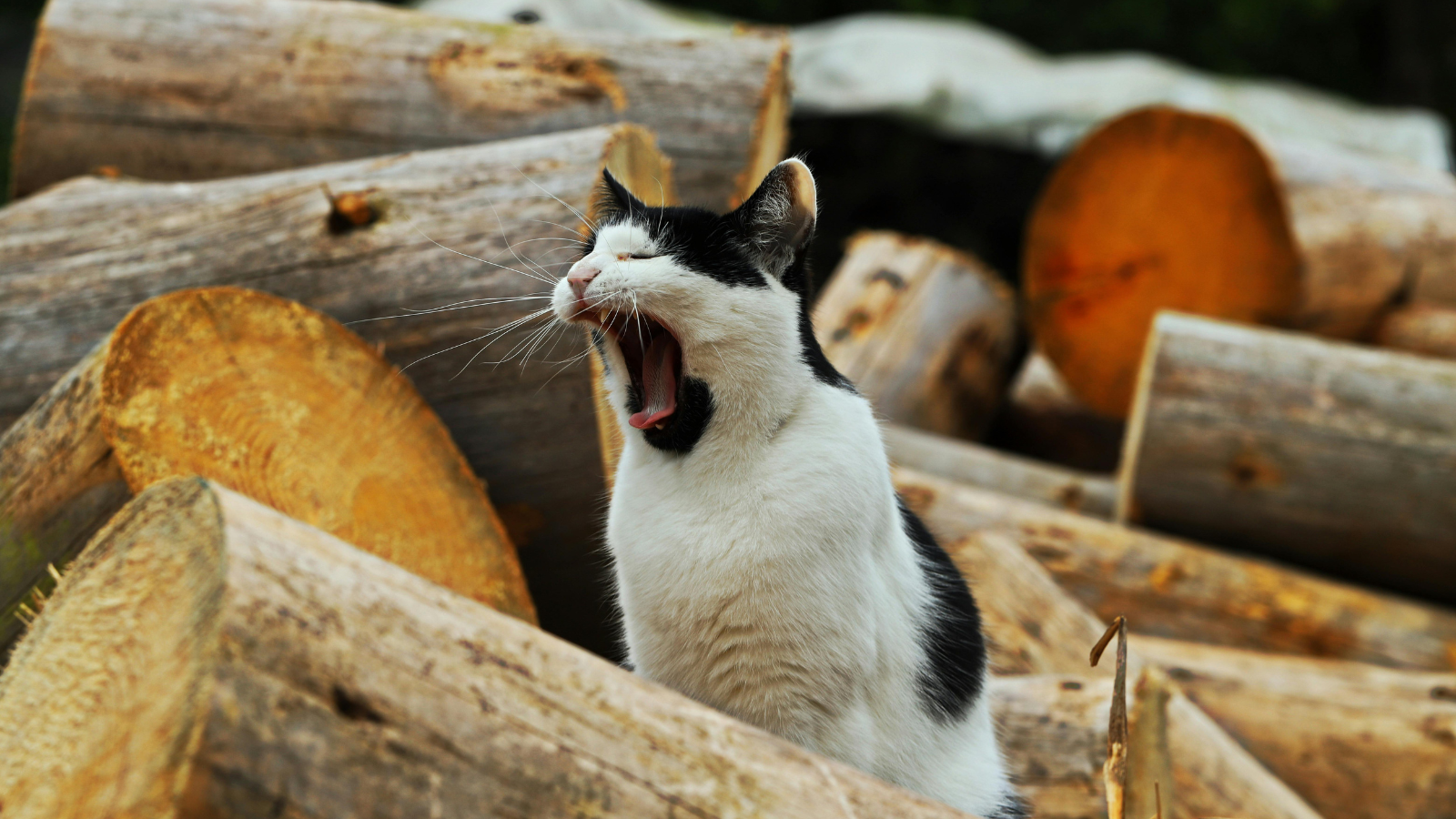 【バズらなくていい投稿】“狙わない”が成果につながる瞬間とは？