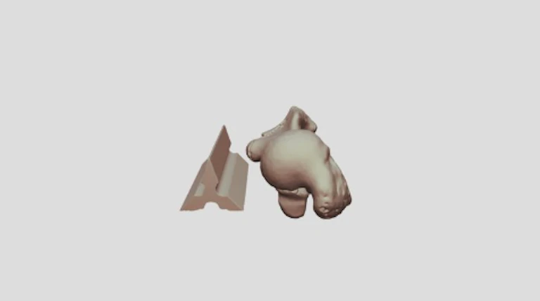 オットセイ