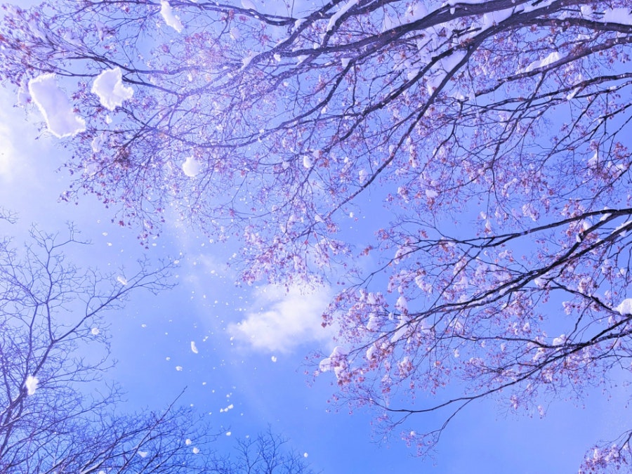 積雪風景