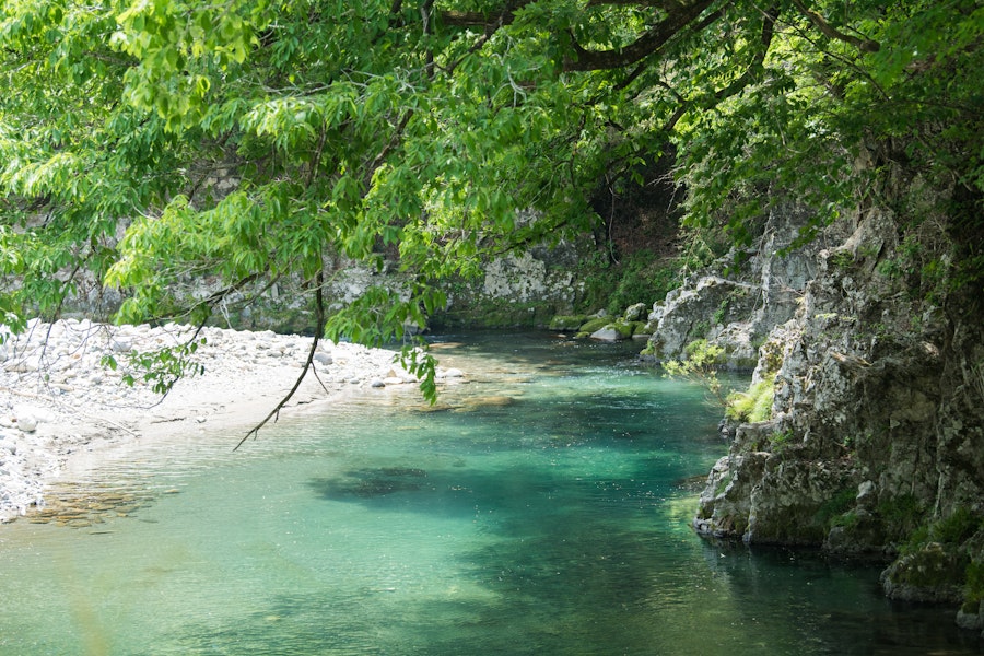 一緒に働く方を募集しております
