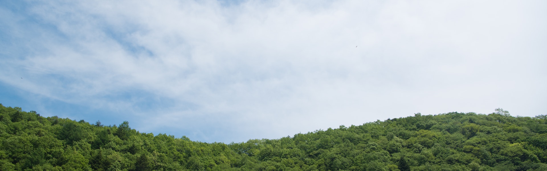 新型コロナウイルスに関してのガイドラインと対策について