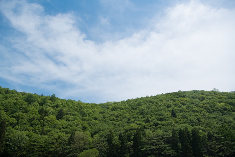 新型コロナウイルスに関してのガイドラインと対策について