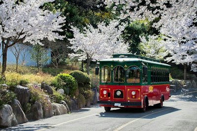 ソウル市内巡りは観光バスが正解|都心と古宮を満喫する1日コース