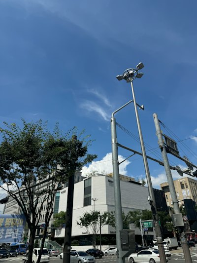 韓国就職、どこまで学歴が影響する?🎓 採用のホンネ事情