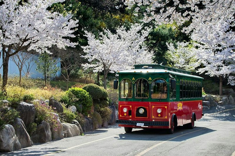 ソウル市内巡り 都心と古宮を満喫する観光バスの車体