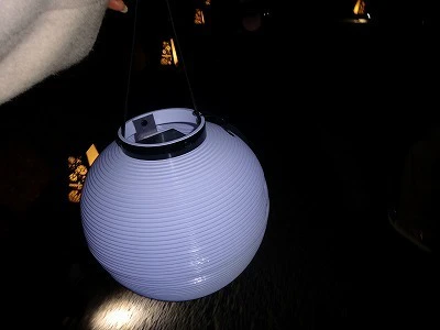 高知城ライトアップサムネイル画像