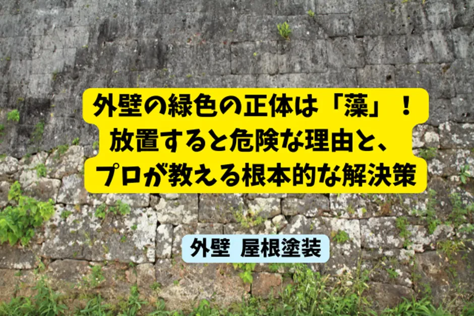 外壁の緑色の正体は「藻」！放置すると危険な理由と、プロが教える根本的な解決策サムネイル画像