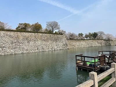 桜と姫路城サムネイル画像