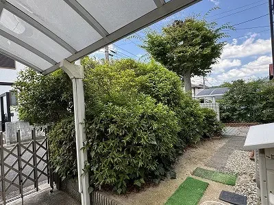 これまでに２回外壁塗装工事をさせていただいた弊社ＯＢ客さまからのご依頼で庭木の剪定と伐採を行わせていただきました。庭木の剪定と伐採を行いましたサムネイル画像