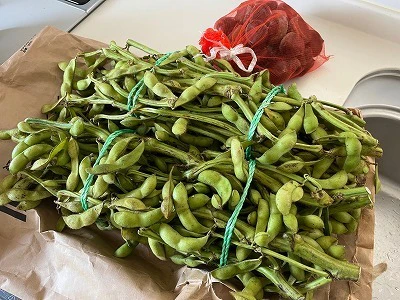 世界一おいしい枝豆サムネイル画像