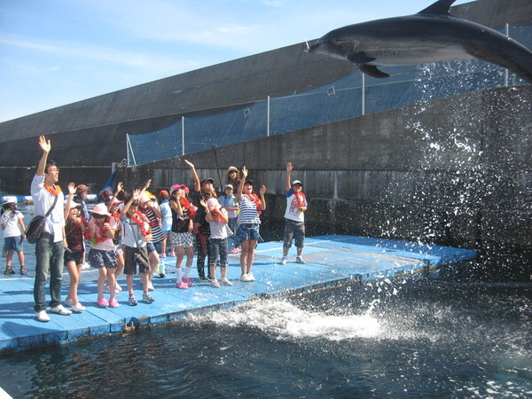 室戸ドルフィンセンター