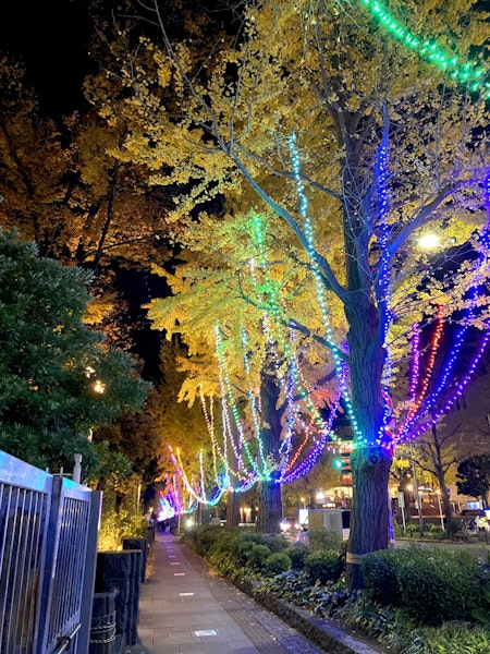 山下公園 ヨルノヨ