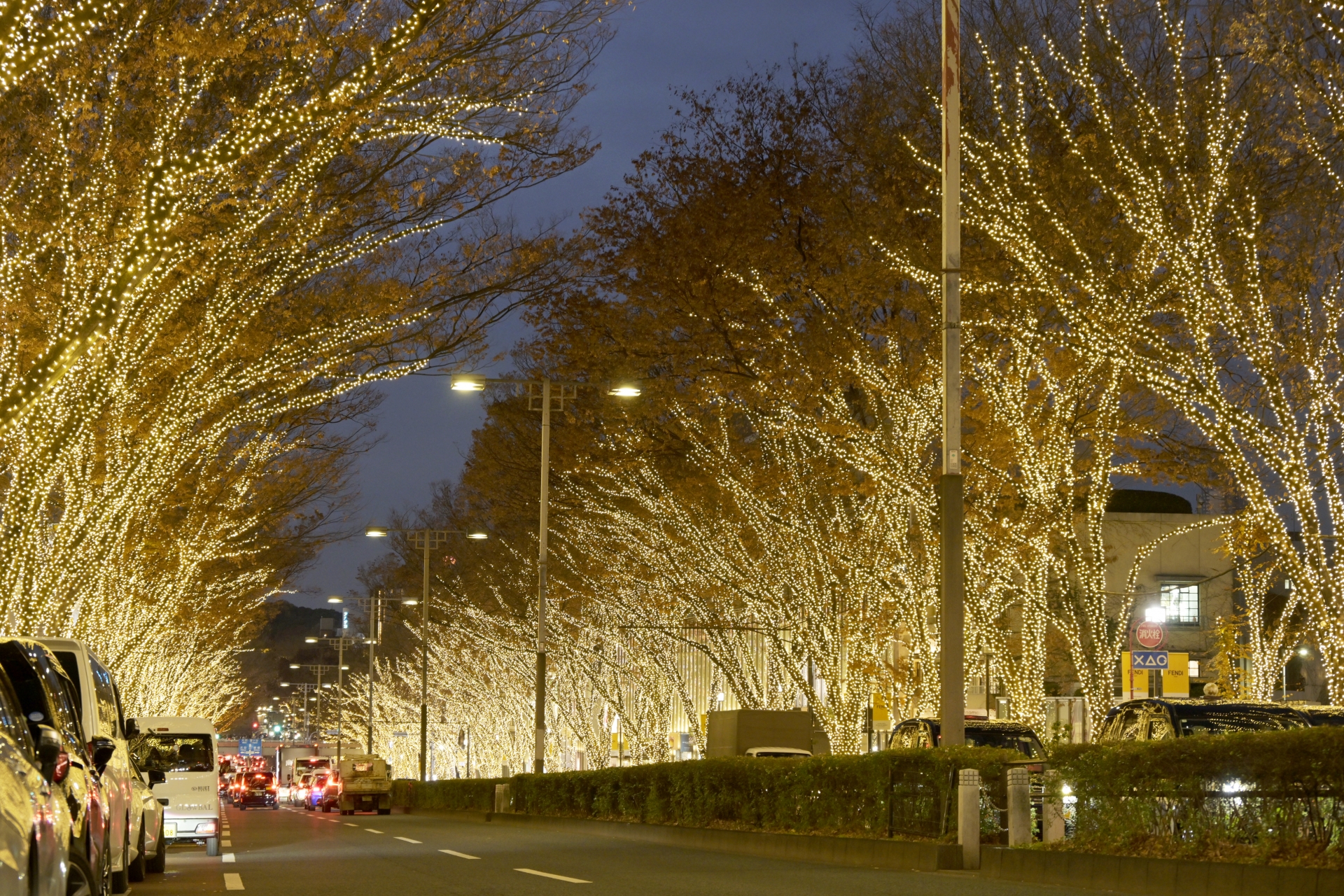 表参道イルミネーション