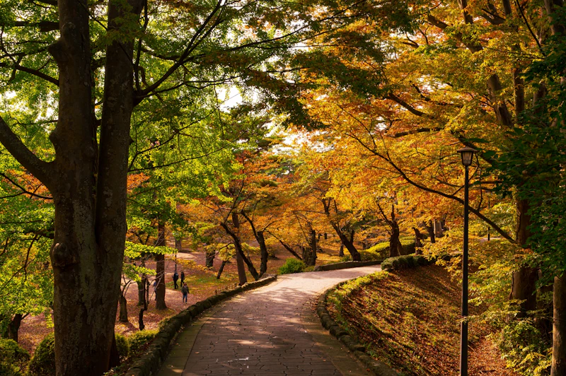 千秋公園