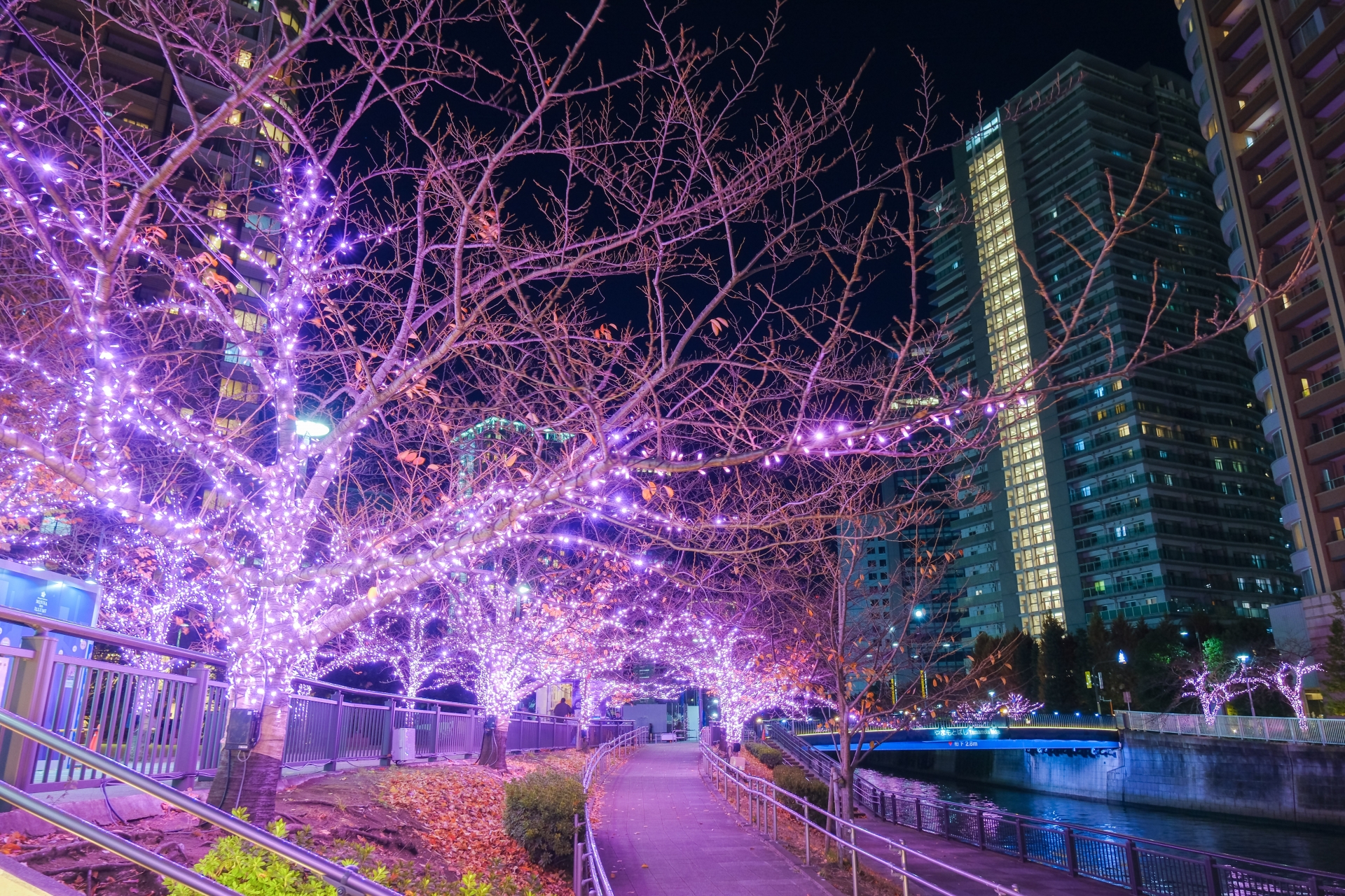 イルミネーション