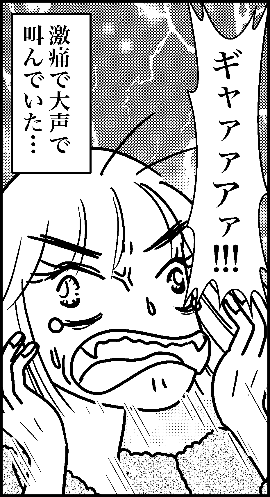 オバコン-21-2-3
