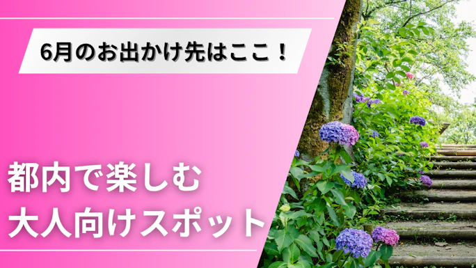 【6月】都内で楽しむシニア向けデートプラン！季節を感じるおすすめスポット特集