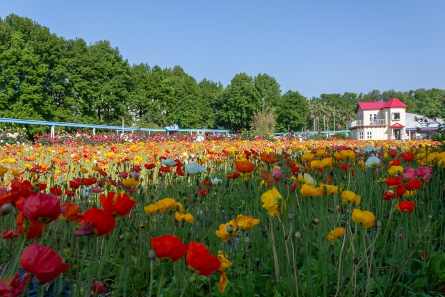 香椎花園