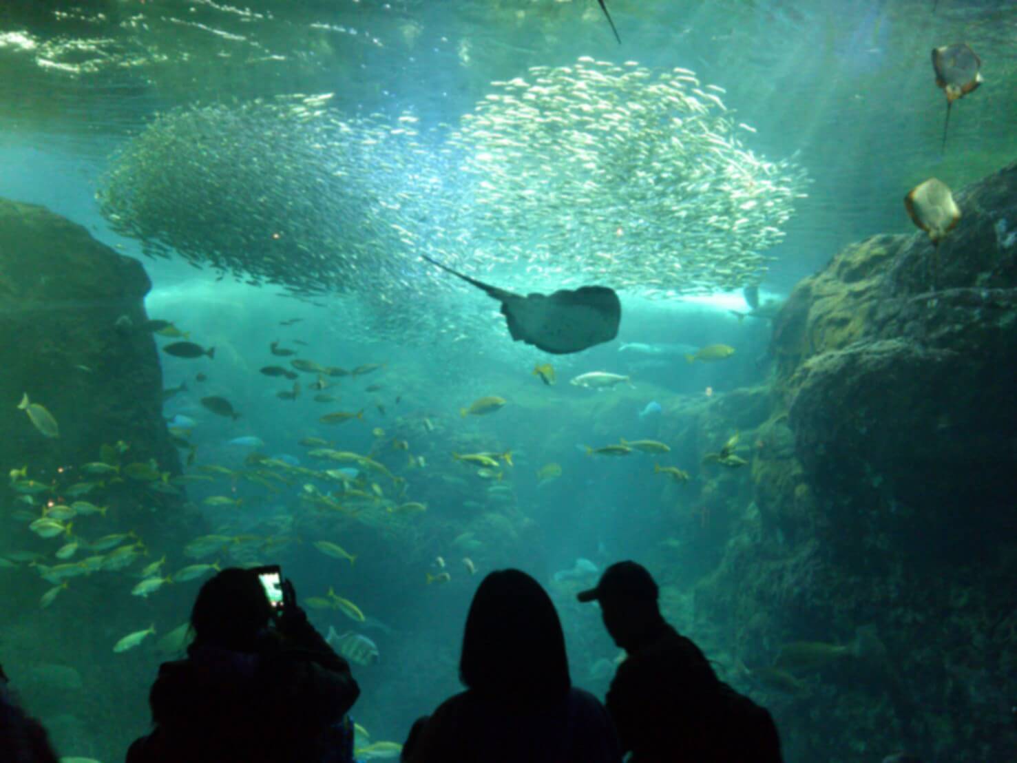 新江ノ島水族館