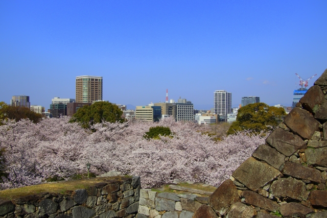 舞鶴公園