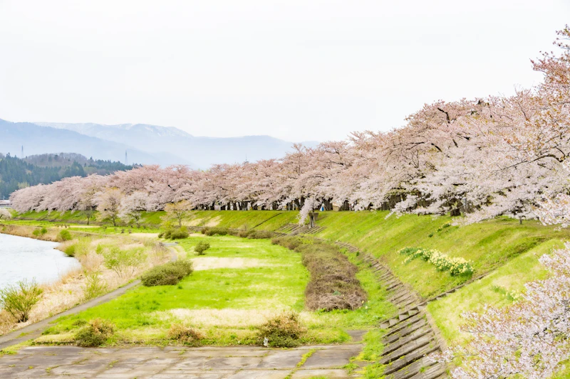 桧木内川堤