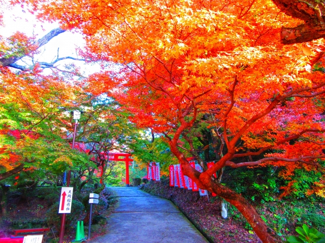 太宰府天満宮