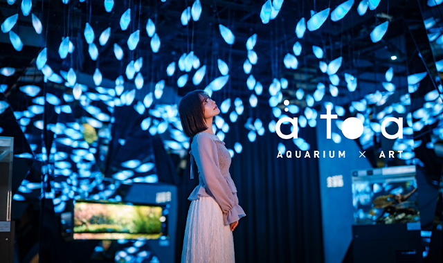 AQUARIUM×ART atoa