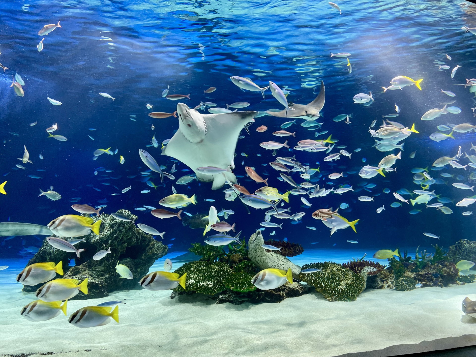 気まずくならない
12月デートスポット