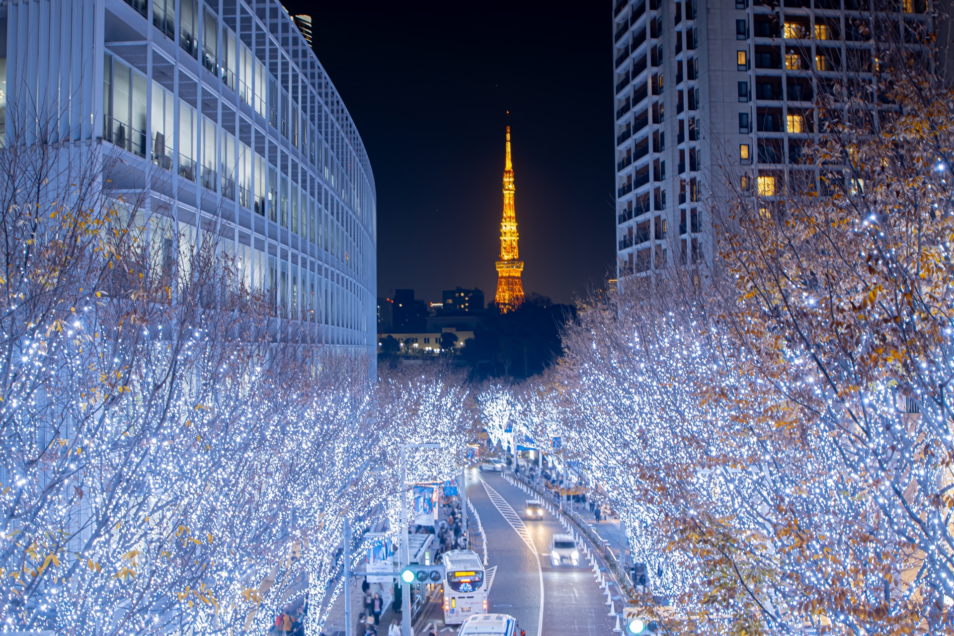六本木ヒルズ けやき坂イルミネーション