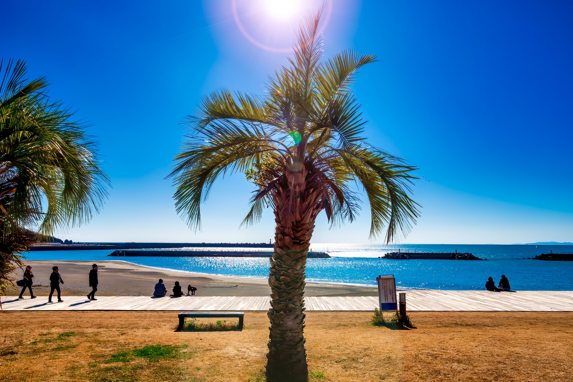 高知県立公園 ヤ・シィパーク