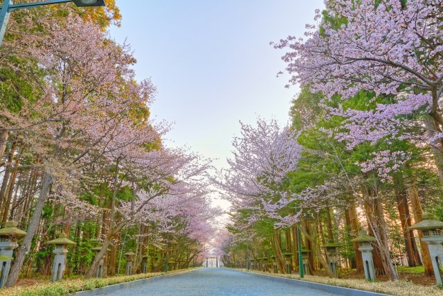 円山公園