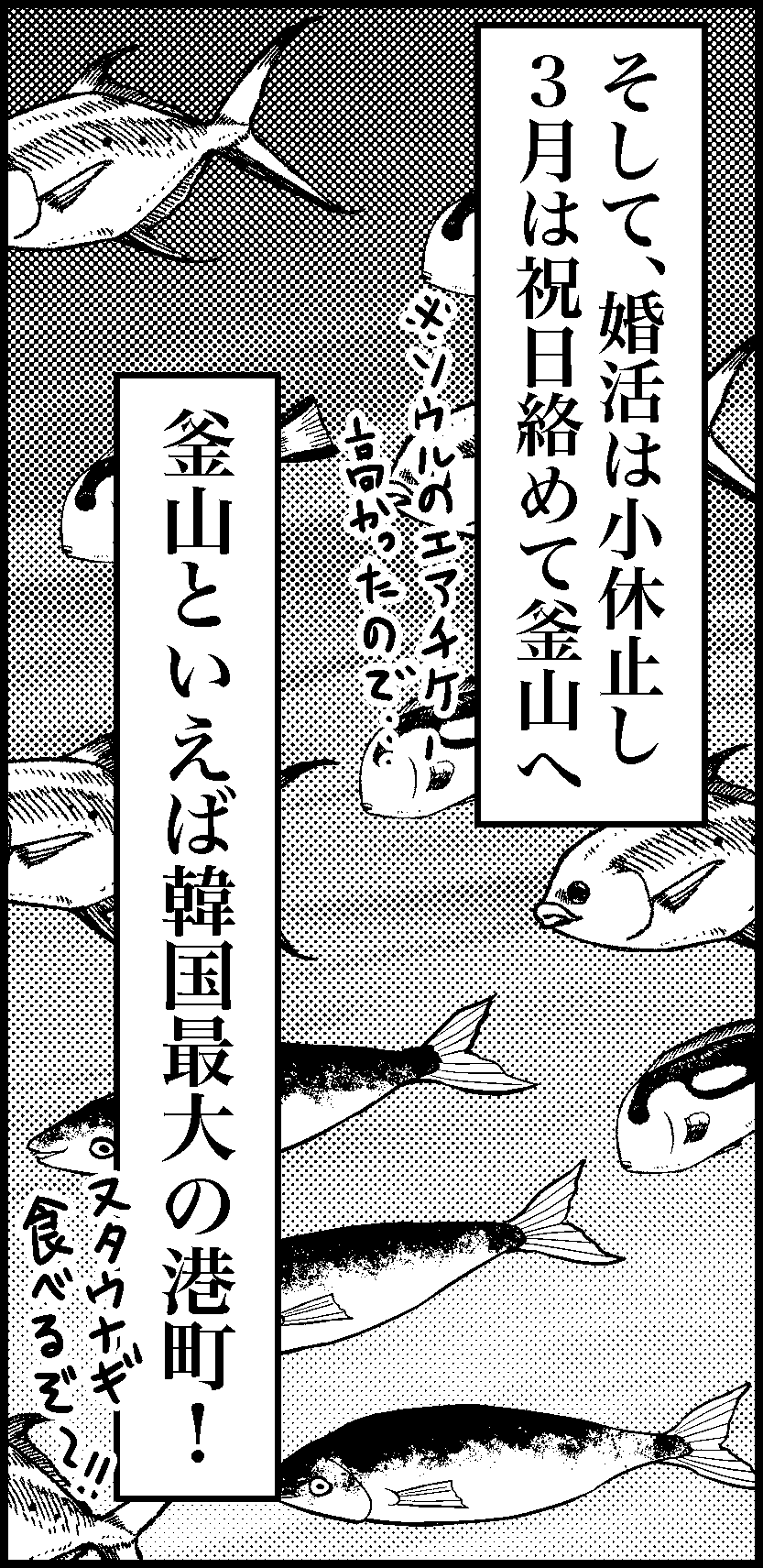 オバコン-22-6-12