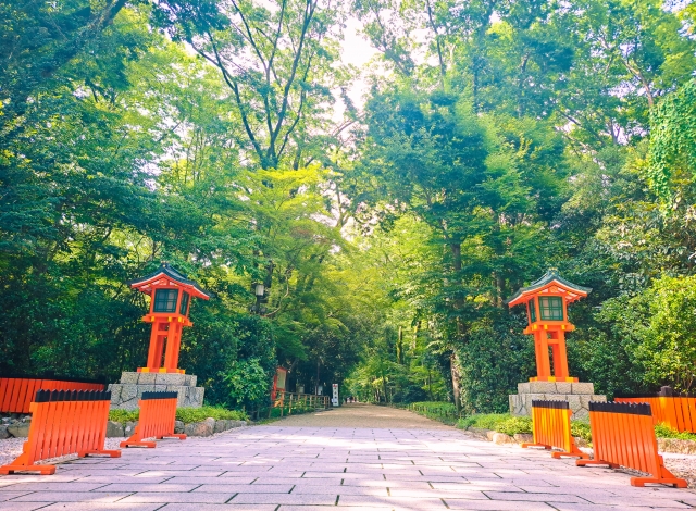 糺の森