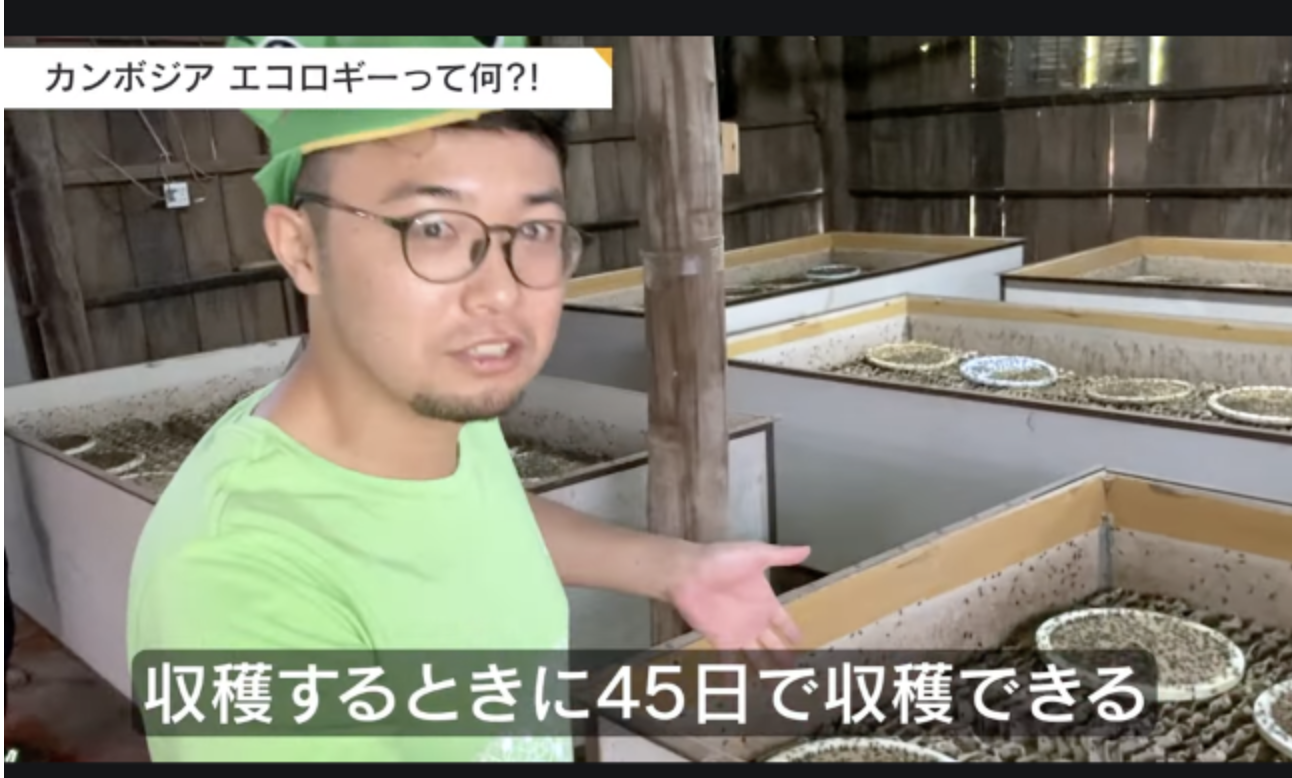 出荷期間が短く、工夫次第で生産コストが抑えられる
