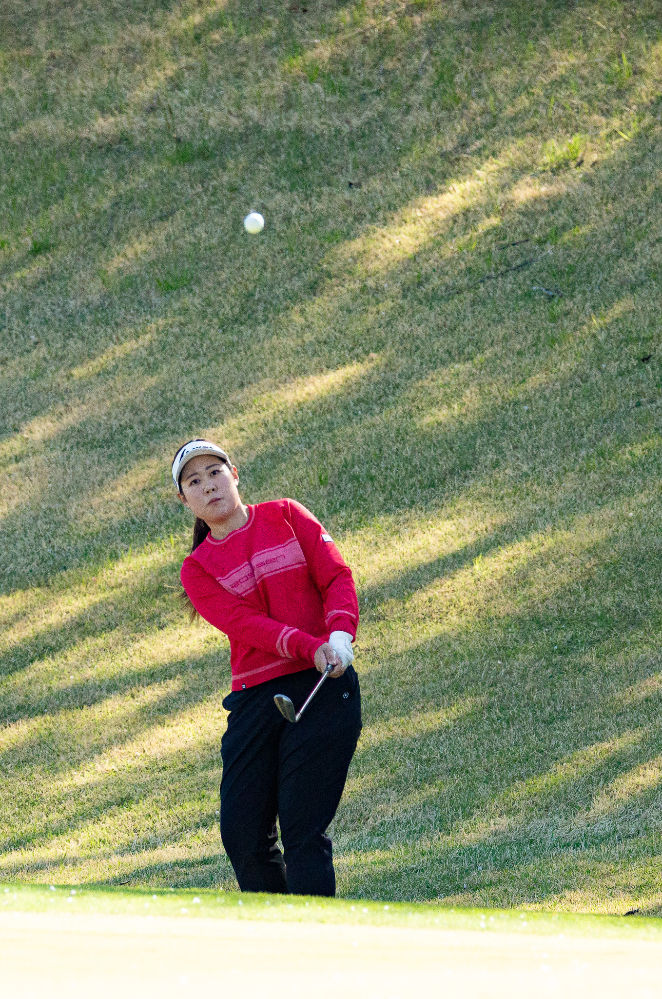 2025シーズン開幕戦 藤井かすみステップジャンプツアー2025 高麗川カントリークラブカップ - 28