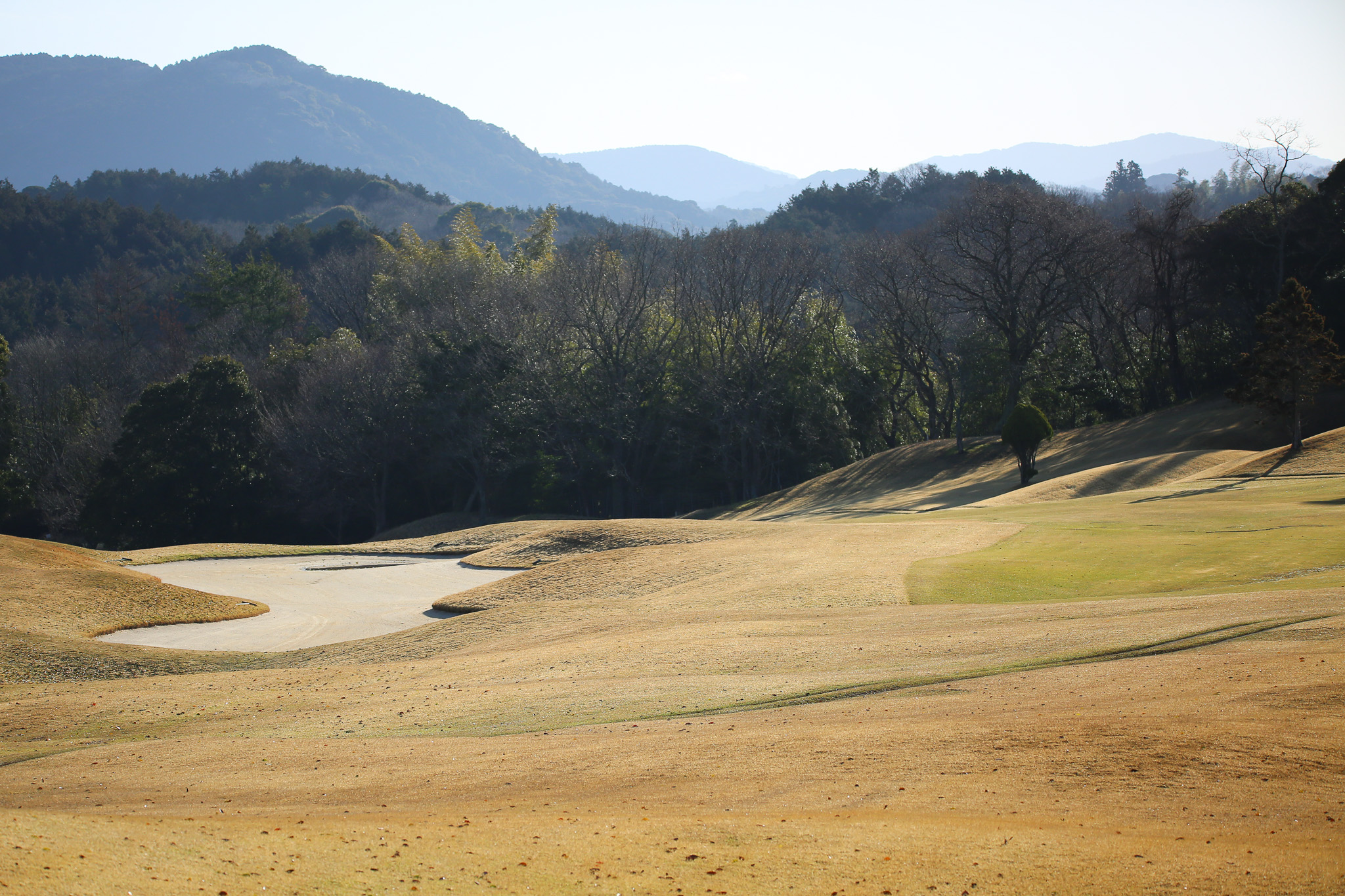 第1戦 藤井かすみステップジャンプツアー2024 YMFG 山口銀行 CUP - 4