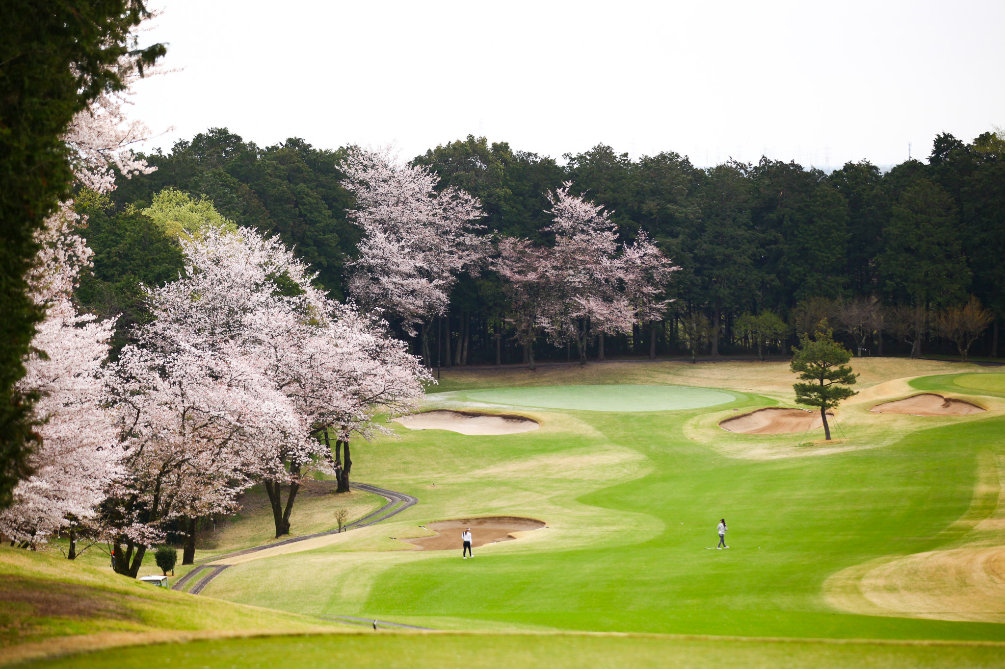 第2戦 藤井かすみステップジャンプツアー2024 高麗川カントリーカップ - 104