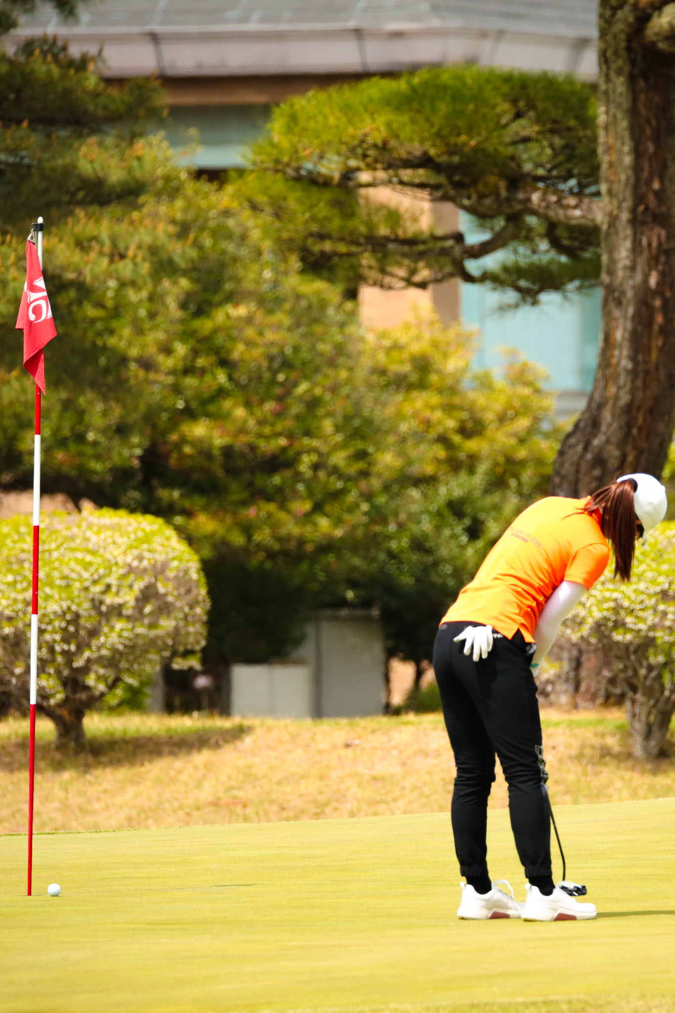 開幕戦 藤井かすみステップジャンプツアー2026 高麗川カントリーカップ - 20