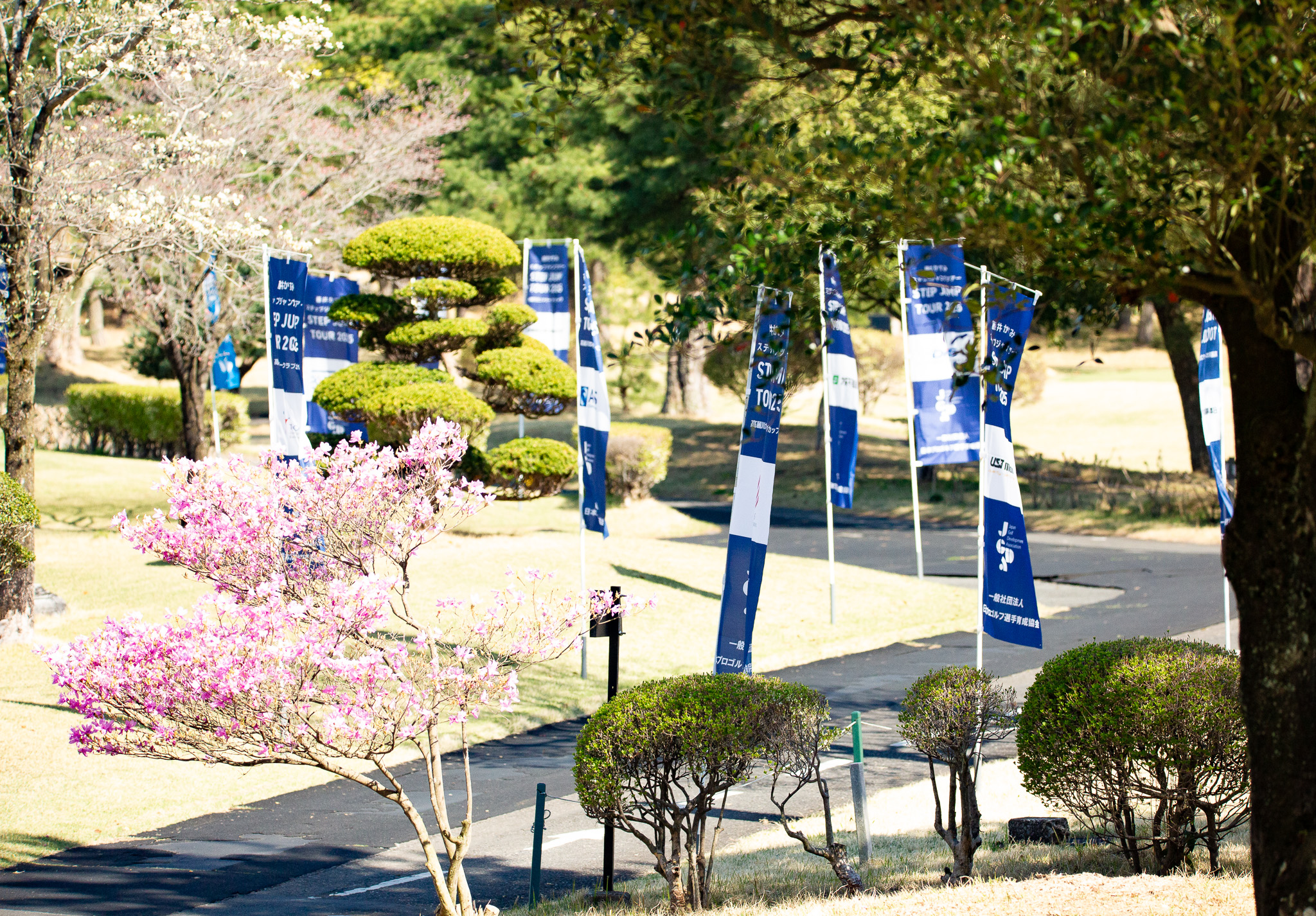 2025シーズン開幕戦 藤井かすみステップジャンプツアー2025 高麗川カントリークラブカップ - 22