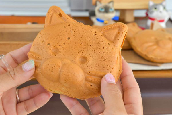 ぷっくりにゃんこ - 画像1