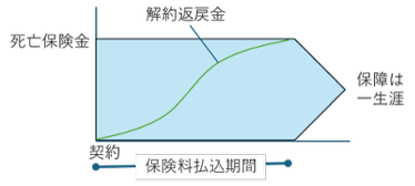 終身保険の保障と保険期間