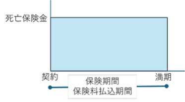 図1　定期保険の保障と保険期間